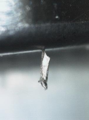 Metal powder sticking on a connecting rod screw Metal swarf