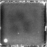 Single IR camera frame image of lid