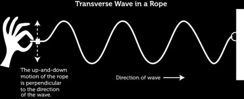 Two types of mechanical waves Transverse waves - a wave that moves the medium in a direction