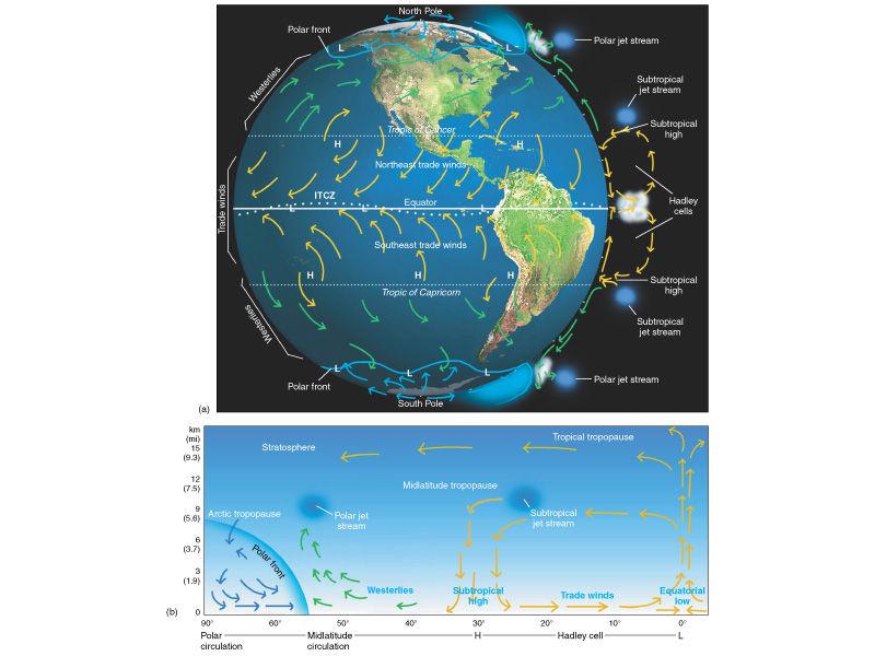 Review Lecture 7 Atmospheric Patterns of Motion Hadley Cells, Ferrel Cells, & Polar Cells Primary High-Pressure and Low-Pressure Areas Subtropical high-pressure cells Westerlies Bermuda high
