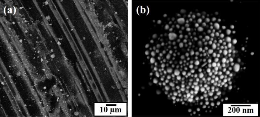 Aqueous core colloidosomes with a metal shell SEM images of spherical
