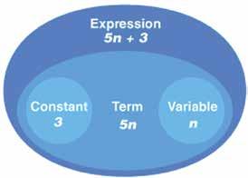 The Real Number System Unit 1 A term can be just a number, just a variable, or any combination of numbers and variables that uses multiplication or division.
