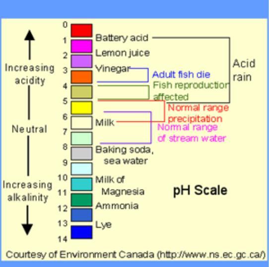ph - A value that represents the concentration of dissolved hydronium ions (H3O + ) in a solution - Concentrated acidic solutions contain a larger number of moles of hydronium ions within each