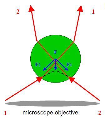 Optical tweezers make use of radiation pressure forces on its form of scattering and gradient force is trap dielectric particles.