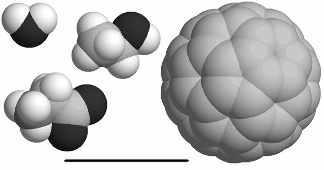 12 Relative size of some molecules: water, ethanol, glycine (the simplest amino acid) and fullerene (C 60 ). The size of the bar is 1 nm How Can We See the Molecule?