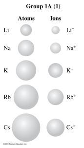 K or Br C. P or Cl Metallic Character Elements with high metallic character lose their easily.
