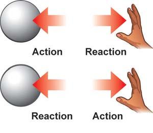 Newton s third law states that for every of objects action force there has to be a reaction force that is equal in magnitude (in size) and opposite in direction to the action force.