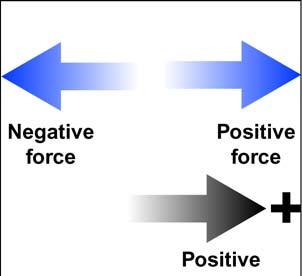 Choose a direction to be positive, and be consistent about treating forces in the opposite direction as negative (Figure 3.6).
