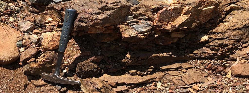 Exploration and sampling techniques for conglomerate gold in