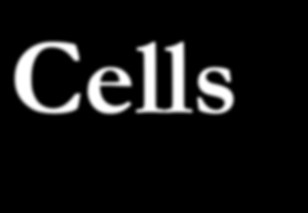 Cells Discovery of