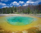 10 Archaea thrive in extreme environments and in the ocean Archaea