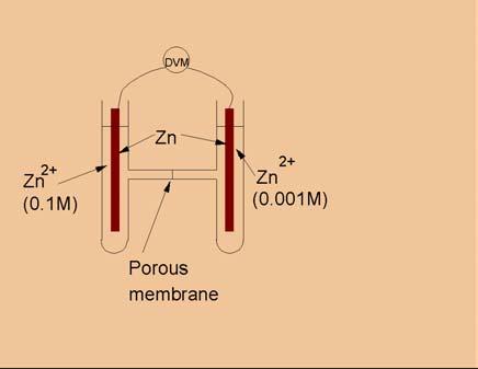 Fig 9. A zinc concentration cell. Set up the concentration cell sketched in Fig.