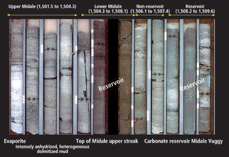 Next, analysis of well logs was carried out as a feasibility tool to determine fluid/ lithology discrimination capabilities of AVO and inversion techniques.