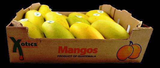 Balanced Forces A 20 kg crate of mangos hang from