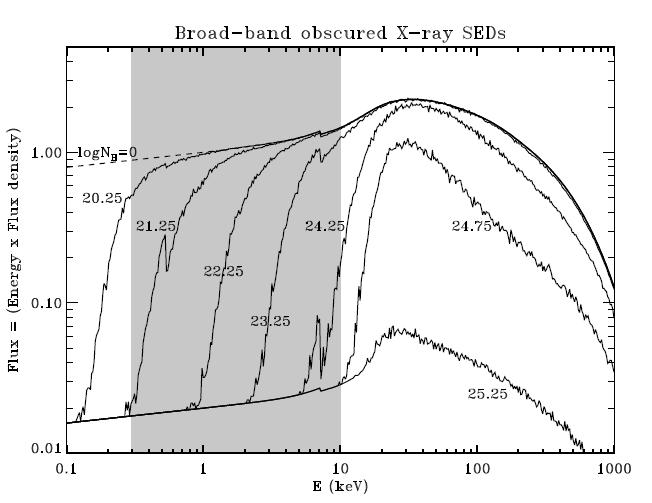 Figure 2: Modelled AGN rest-frame X-ray spectral energy distributions, showing intrinsic power law emission, reflection effects and high energy exponential cut-off.