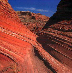 Section 6.1 Formation of Sedimentary Rocks Sequence the Formation of Sedimentary Rocks.