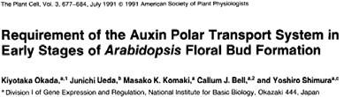 Genetic discovery of auxin efflux regulator/facilitator PIN 1991 Okada et al.