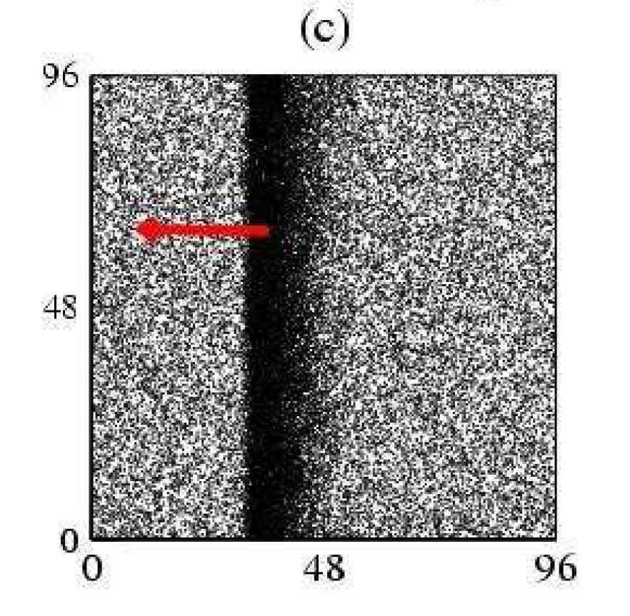 Phase transition to aligned state 7 As noise decreases [Vicsek et al, PRL 95] As density increases [Vicsek et al,