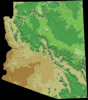 respect to interannual variability in NDVI in Arizona occurs at lower elevation, where the precipitation is