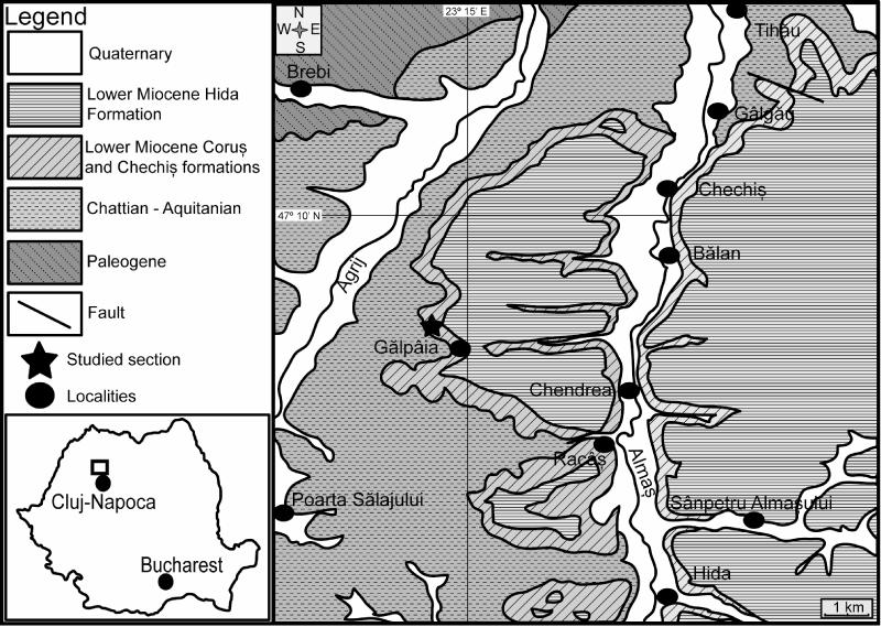 Figure 1: Geological map and location of the Gălpâia section (modified after the Geological Map of Romania, 1:200000, Sheet Cluj; PETRESCU & DRĂGHICI, 1964; BELDEAN & S. FILIPESCU, 2011).