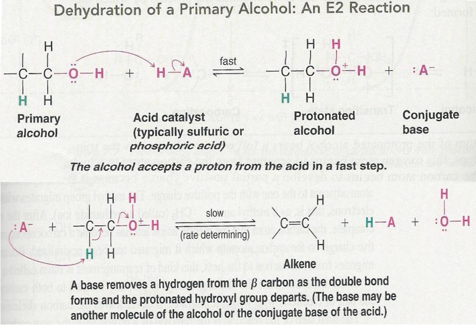 alcohols also undergo rearrangements of their carbon skeletons during dehydration - The mechanism for dehydration of secondary and tertiary alcohols is an E1 reaction with a protonated alcohol