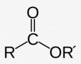 Esters Carboxyl bonded to two carbon groups (do not need to be the same) Volatile and sweet