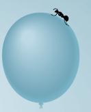 If the object was thrown upward or downward, not DROPPED, then the original velocity would not equal zero. An ant takes a ride on a helium balloon as it moves upward.