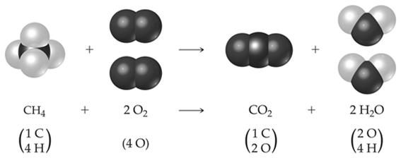 Anatomy of a Chemical Equation CH 4 (g) + 2 O 2 (g) CO 2(g) + 2 H 2 O (g) The states of the reactants