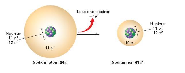 Cation is an ion that has lost one or more