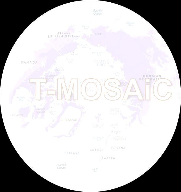 What is T-MOSAiC?