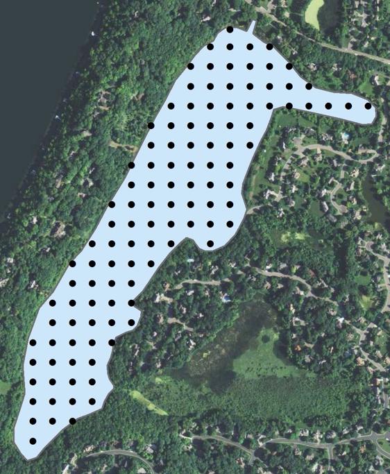 This survey incorporated assessments at sample points arranged in a uniform grid (50-m spacing) across the entire lake (Figures and ).