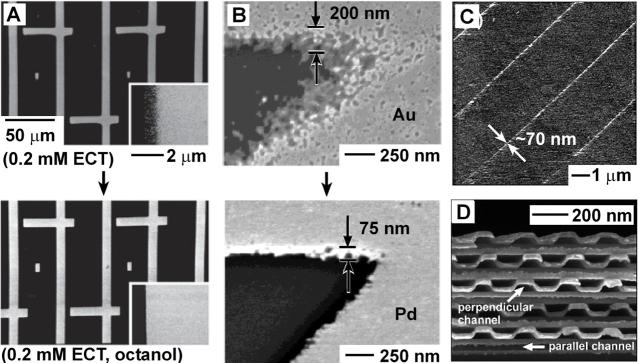 352 GATES ET AL. Figure 8 Patterns formed by microcontact printing. (a) SEM images of 15-nm thick Au patterned with eicosanethiol (ECT) at 0.
