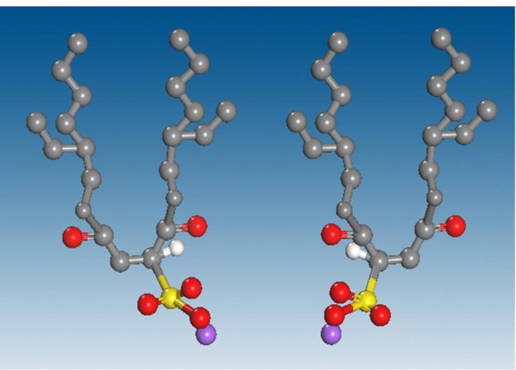 1. Supporting figures Fig. S1. Schemtic structure of L (left) nd R (right) formed AOT molecules.