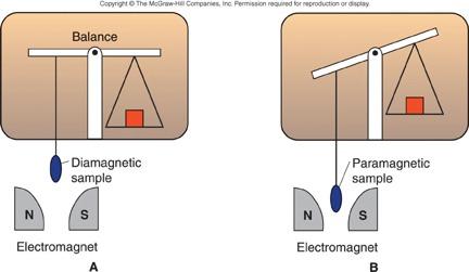 Magnetic Properties of Transition Metal Ions A species with unpaired electrons exhibits paramagnetism.