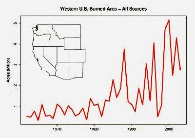 Western Pine beetles are turning many of our forests into kindling for more wildfires. (Westerling, A.