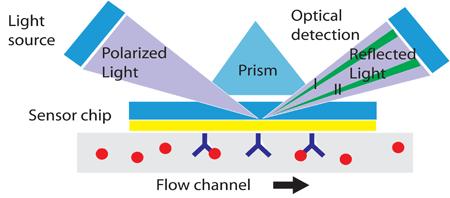 array and microfluidic Colinear optical detection Denser