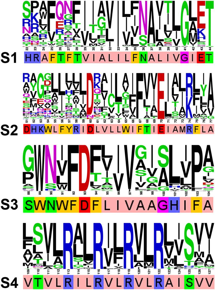 Fig. S2. Sequence conservation within the VSD of bacterial voltage-gated sodium channels.