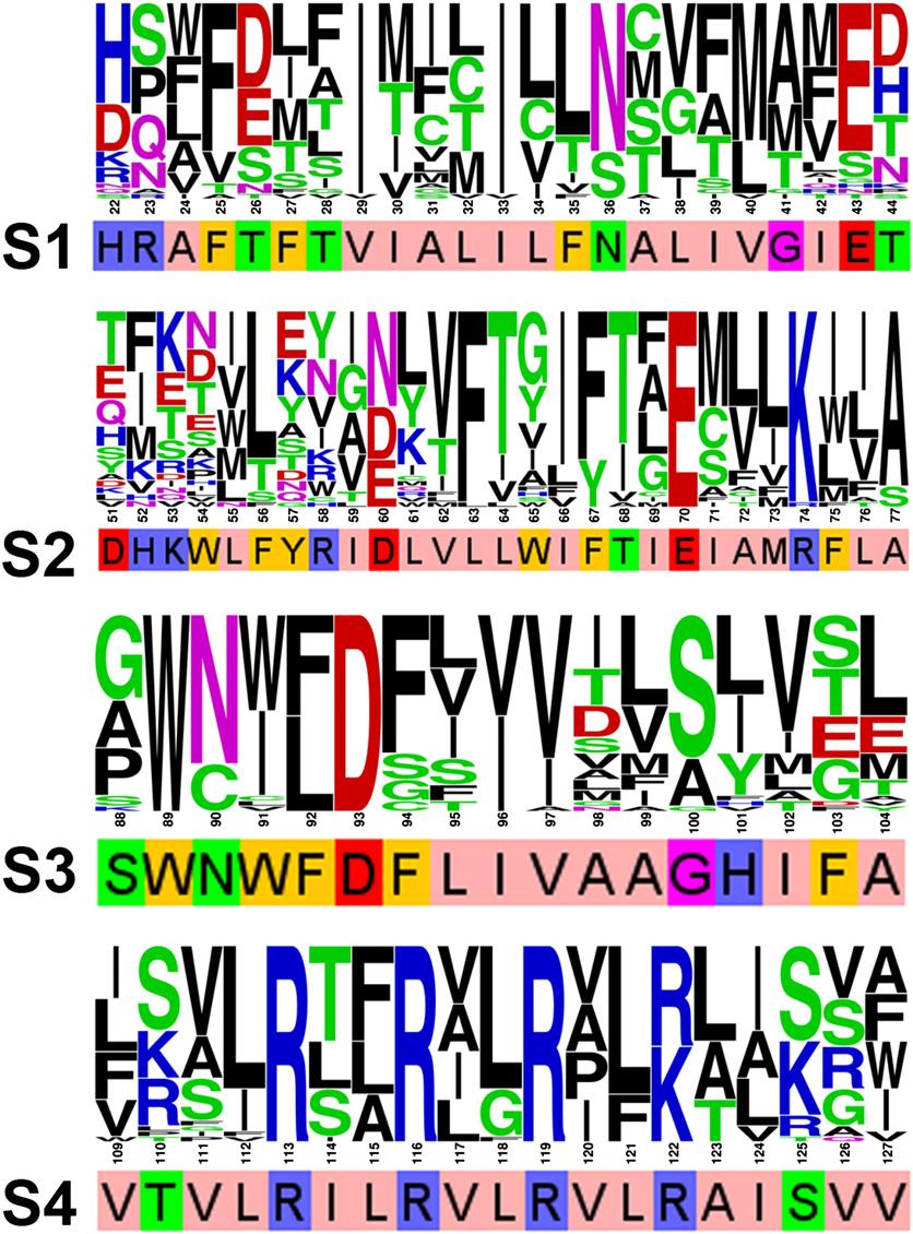 Fig. S3. Sequence conservation within the VSD of human voltage-gated sodium channels.