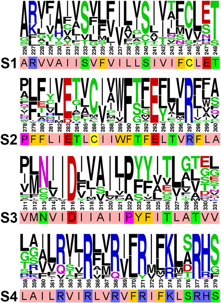 Fig. S4. Sequence conservation within VSD of human voltage-gated potassium channels.