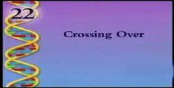 Video 5 Crossing Over Click the