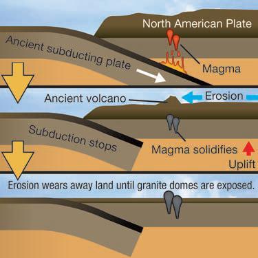 Volcanoes on continents at convergent boundaries Water At subduction zones, water and sediments are carried downward as one plate sinks below the edge of another plate.