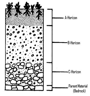 Soil 1. Answer the following questions by choosing the best answer. (6 marks) i) Soils are formed as a result of: A. Climate, parent material, organisms, time B. Weather, climate, relief, organisms C.