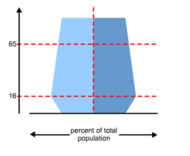 10. Look at the diagram below, Fig. 7. It is a sketch of a population pyramid. Fig. 7 Does it show Sweden or India? (1 mark) 11.