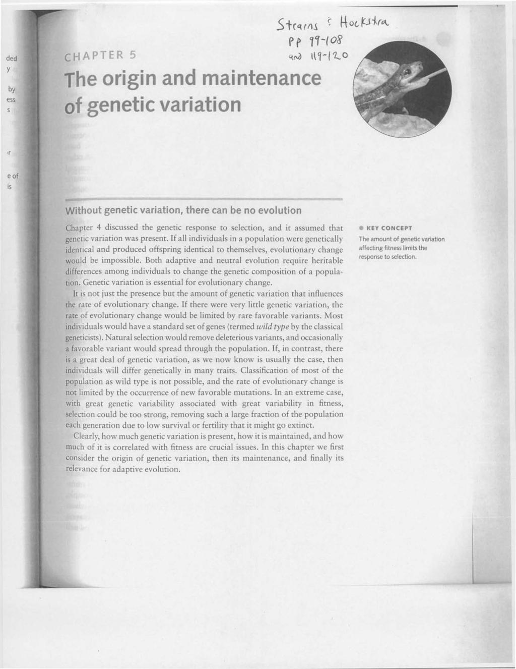 ded ill!ridapter 5 y by ess The origin and maintenance of genetic variation S P P (ina C t.