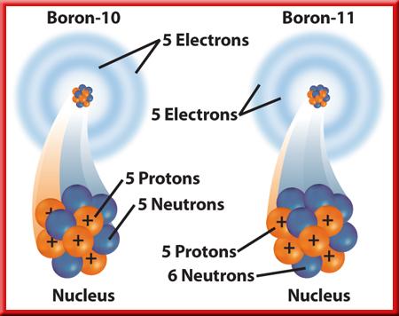 17.2 Isotopes Models of two isotopes of boron are shown.