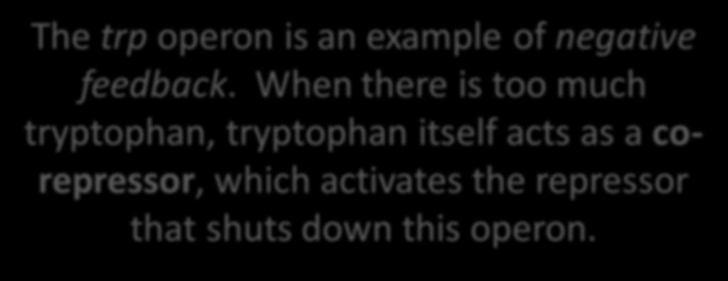 The trp operon is an example of negative feedback.