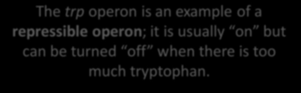 The trp operon is an example of a repressible operon; it is