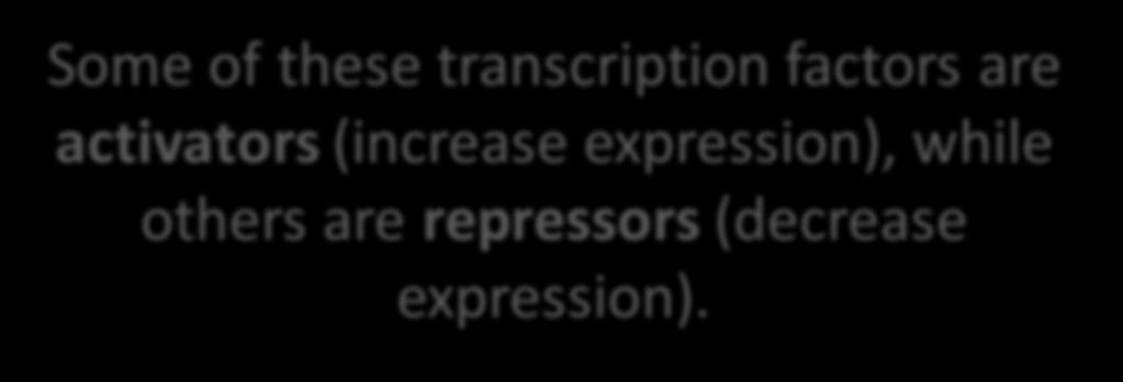 Some of these transcription factors are activators (increase