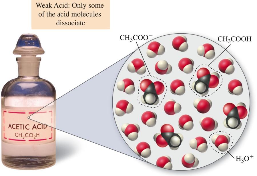 HCl + H 2 O H 3 O + + Cl Acids in an aqueous environment, which primarily
