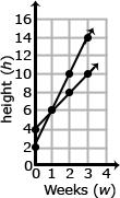 Given each set of coordinates, graph their corresponding lines. Solution: Write an equation that represent the growth rate of Plant A and Plant B.